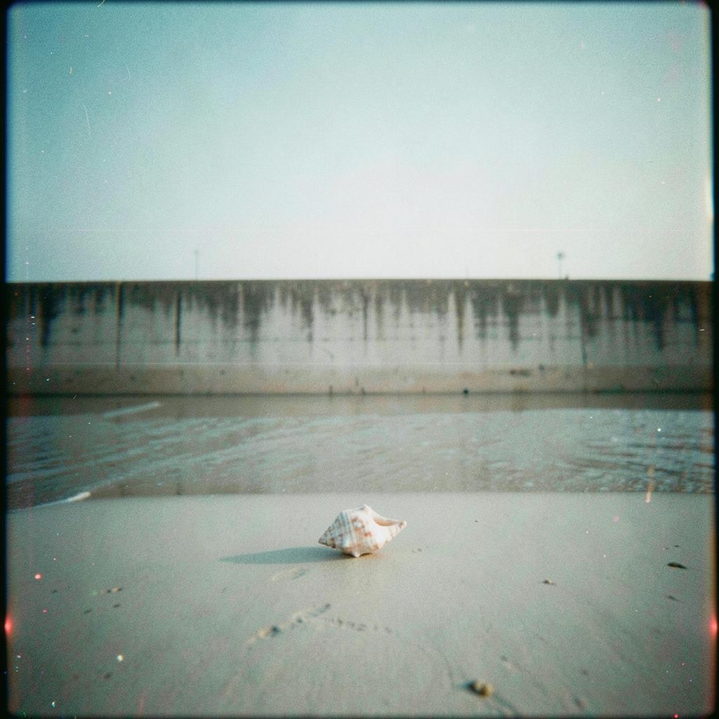 【夏洋楽】Low Tide Ⅱ のイメージ
