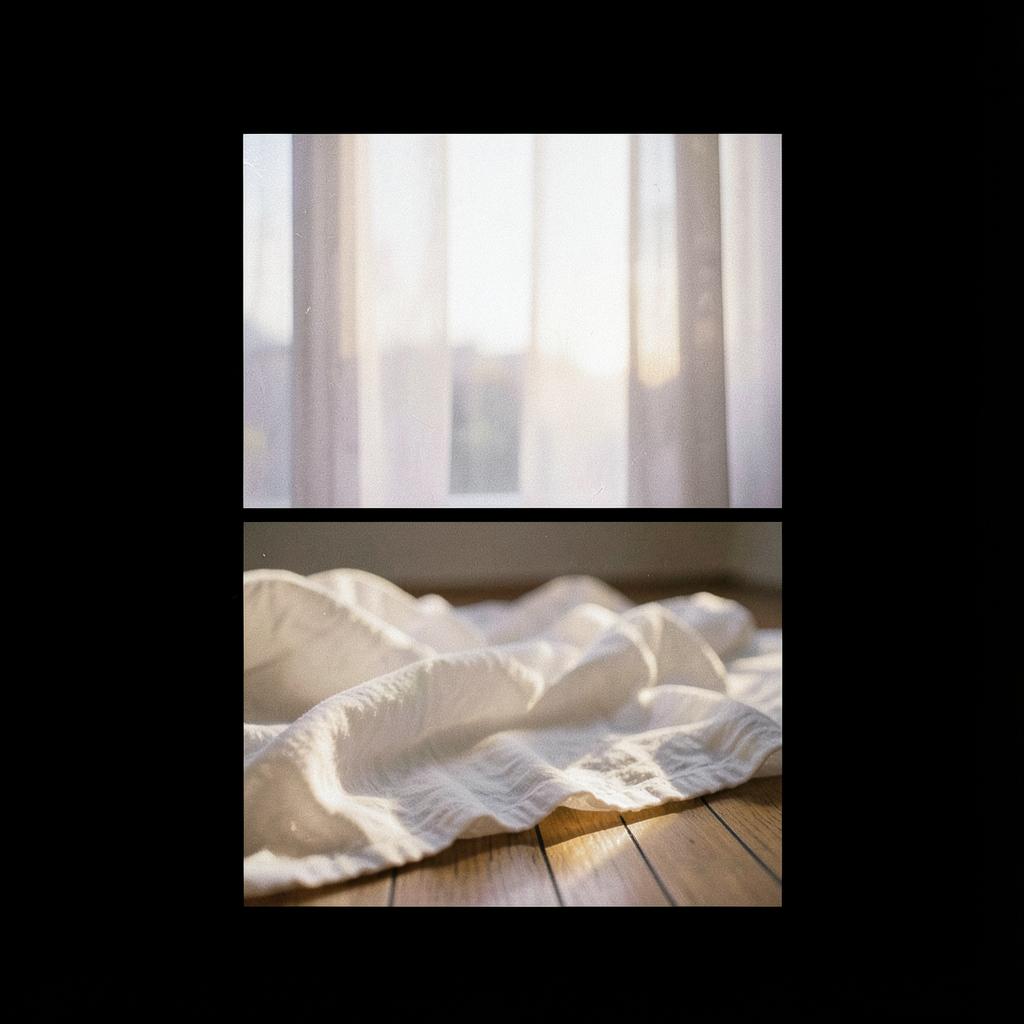【夏洋楽】Open Window Ⅱ のイメージ