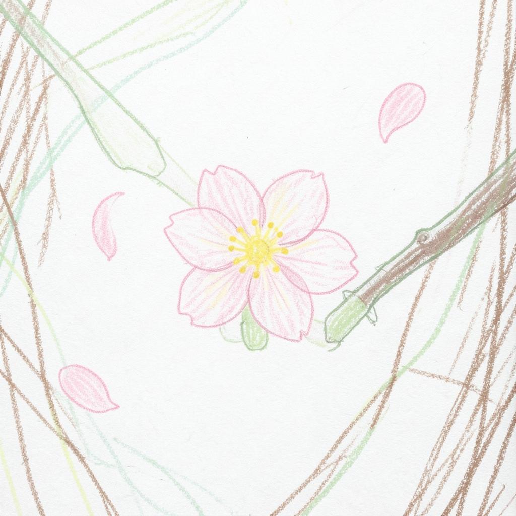 【春】一輪の花 のイメージ